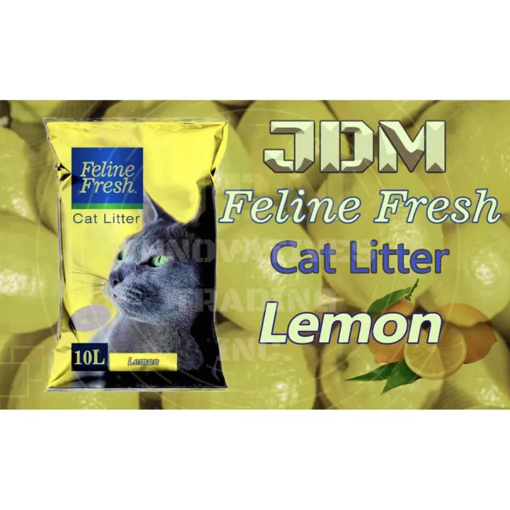 Feline Fresh Cat Litter Sand 10 liters Lazada PH