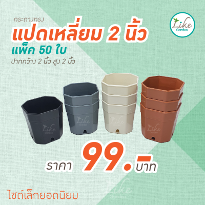 กระถางทรงแปดเหลี่ยม ขนาด 2 นิ้ว แพ็ค 50 ใบ กระถางพลาสติก กระถางปลูกต้นไม้ กระถางปลูกแคคตัส กระถางราคาถูก