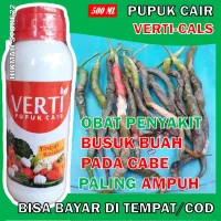 Jual Obat Buah Cabe Busuk Terbaru Lazada Co Id