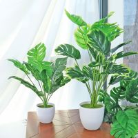 【YF】✗☏❦  Artificial Monstera Leaves Garden Room Bedroom Outdoor Plastic Fake Turtle