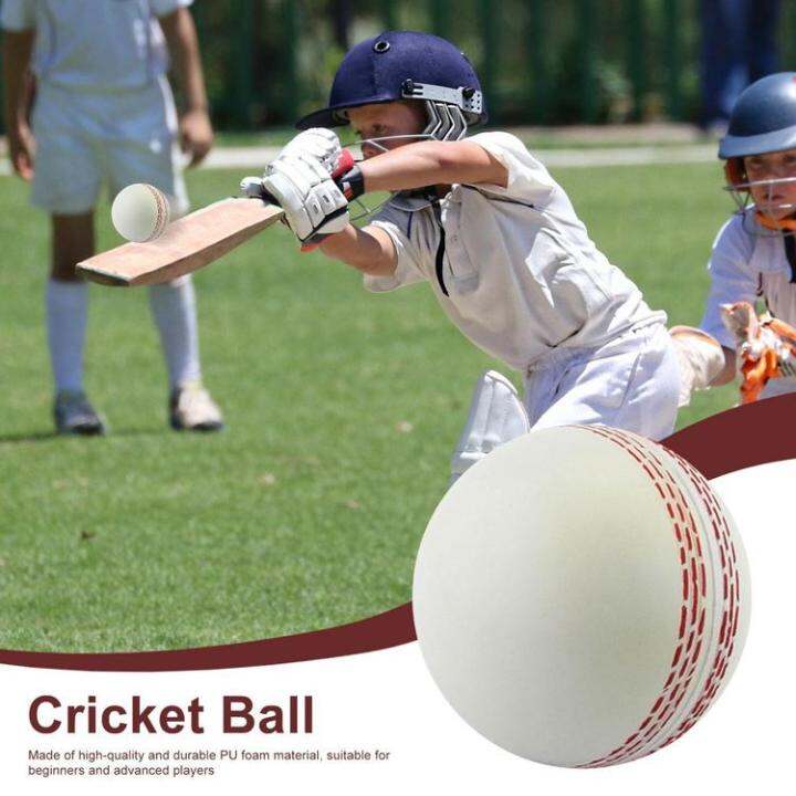 cricket-ball-sports-wind-cricket-balls-sports-wind-indoor-outdoor-soft-training-balls-for-practice-portable-training-balls-for-swinging-bouncing-spinning-honest