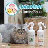 ร้านไทย อาหารต้นไม้ Natural Wax เคลือบใบไล่แมลง