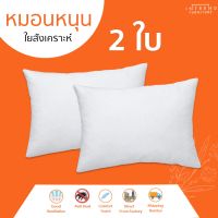 Furniture Intrend หมอนหนุนสุขภาพ ป้องกันไรฝุ่น (White) ฟรี ซื้อ 1 แถม 1