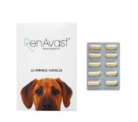 Renavast for dog (หมดอายุ 01/2024) อาหารเสริมโปรตีน สำหรับสุนัข อายุ 1 ปีขึ้นไป บรรจุ 60 แคปซูล