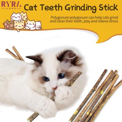 5pcs Catnip Stick Cleaning Teeth Molar Toothpaste Chew Accessories