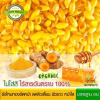 รังไหมขัดหน้า ออร์แกนิค สูตรขมิ้นชัน + น้ำผึ้ง Silk Cocoon Scrub with Turmeric &amp; Honey ลดสิวเสี้ยน ผิวขาว หน้าใส (ขายเป็นรัง : ตัวเลขที่ระบุ คือ จำนวนรัง)