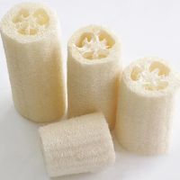 6Pcs Natural Loofah Luffa Loofa Bath Body Shower Sponge Kitchen Cleaing Scrubber Dishwashing Utensils Kitchen Cleaning Tools Cleaning Tools