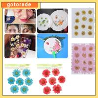 GOTORADE 12PCS/Bag สีสัน DIY เรซิน เดซี่ดอกไม้ประดิษฐ์ การทำเครื่องประดับ กด ศิลปะ