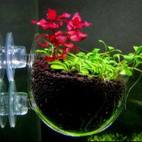 hot【cw】 Aquarium Holder Glass Aquatic Cup Pot with Cups for Aquascape Decoration