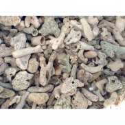 Combo đá nham thạch 1kg + san hô vụn 1kg vật liệu lọc, trang trí bể cá