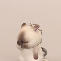 Cute Accessories Cat