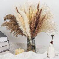 【cw】 10/15/20/60Pcs Artificial Pampas Fluffy Reed Wedding Room Decoration