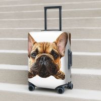 French Bulldog Cuteness Suitcase Cover Animal Cruise Trip Protection Flight Useful Luggage Case