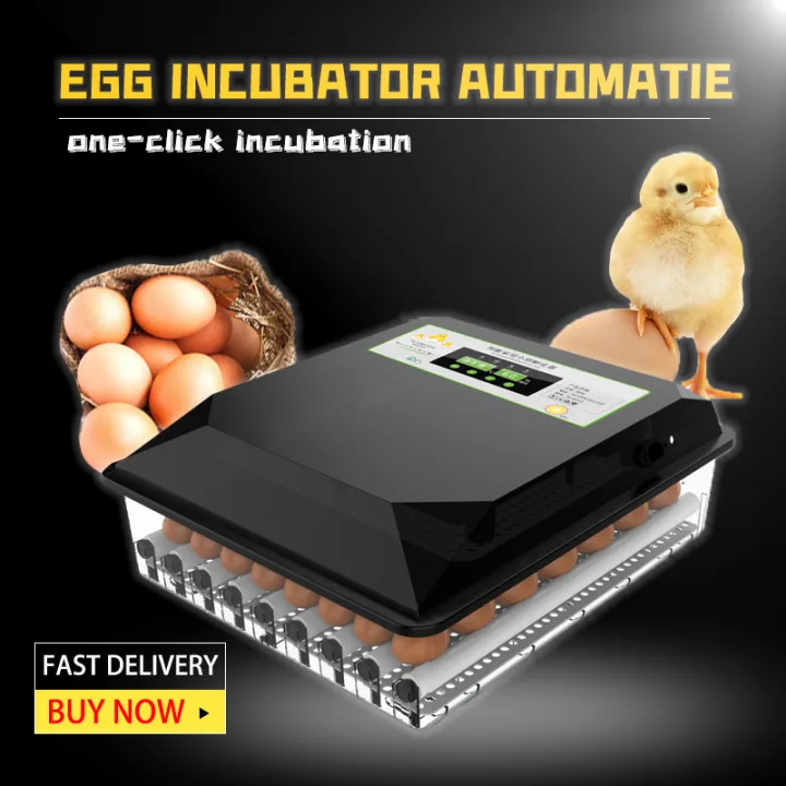 The cheapest 56 egg incubator automatic with hatcher，Fully Automatic