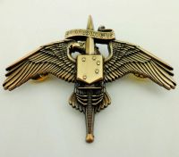 tomwang2012. MARSOC U.S.Marine Corps Raider Qualification Badge Pin Bronze Colour