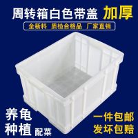 [COD] plastic box rectangular turnover large food storage turtle breeding super