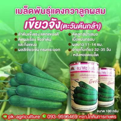 เมล็ดพันธุ์แตงกวาเขียวจัง ขนาด 100 กรัม