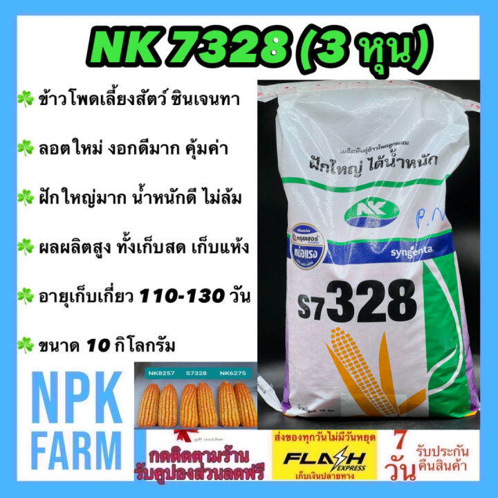 My Image 52