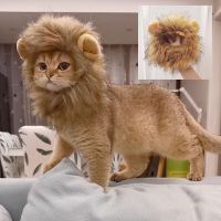 ZZOOI Cute cat hat Lion mane cat wig hat dog and cat puppy Pet cat Decorative Lion wig Fancy party pet supplies Cat accessories