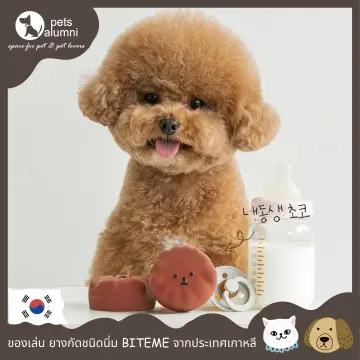 รูป หมา เกาหลี ราคาถูก ซื้อออนไลน์ที่ - ต.ค. 2023 | Lazada.Co.Th