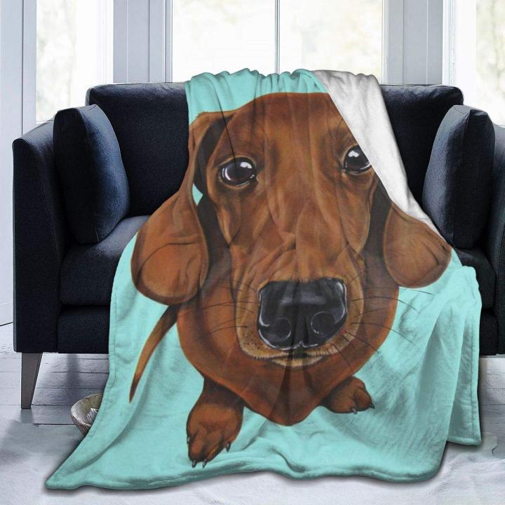in-stock-a-soft-comfortable-and-warm-mini-blanket-for-sofas-sofas-and-home-gifts-can-send-pictures-for-customization