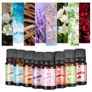 Aromatherapy and Home Fragrance 10ml Fragrance Oil Soothing Natural