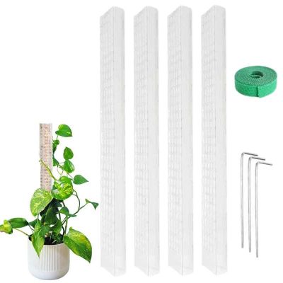 New Monstera Moss Pole 24inch Sphagnum Moss Poles Plant Stakes Moss Sticks For Monstera Indoor Creepers Plant Support Extension