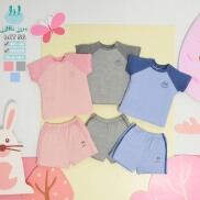 CHÍNH HÃNG Bộ cộc tay trẻ em thun tăm raglan LCT56 Little Love
