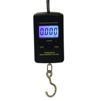 40kg X 10g Mini Digital Scale for Fishing Luggage Travel Weighting Steelyard Portable Electronic Hanging Hook Scale Hand Scales