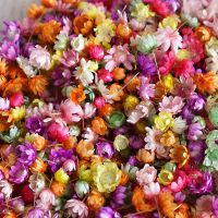 【CC】 140PCS Dried Flowers Brazil Little Star for Epoxy Resin Candle Making Jewelry Wedding Decoration New