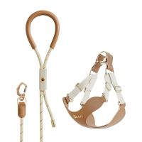 ที่รัดอกพร้อมสายจูง VOOCOO #OOTD Leash &amp; Harness Set - Leather