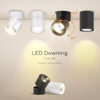 LED Downlight Spot Led Lamp Ceil Spotlight 220V Surface Mounted Down Lamp 571015W For Shop Home Kitchen Indoor Bedroom