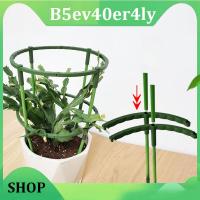 B5ev40er4ly Shop Plastic Flower Plant Support Pile Orchid Stand Holder For Semicircle Greenhouses Fixing Rod Holder Bonsai Garden Tools