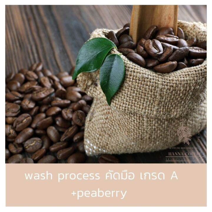 กาแฟดริปแบบซอง-คั่วกลางเข้ม-พร้อมชง-10-ซอง-arabica-100-เกรด-a-peaberry-ดอยนางนอน-เชียงราย-hanna-coffee