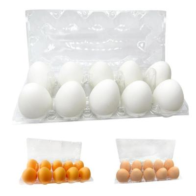 TPR Simulation Eggs Creative Food Venting Bead Ball Decompression Squeeze Fidget Toy Soft Squishy Stress Relief Novelty Fun Toys fashionable