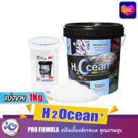 เกลือเลี้ยงปลาทะเล H2Ocean+ Pro Formula คุณภาพสูงจากยุโรป ขนาดแบ่งขาย1Kg.