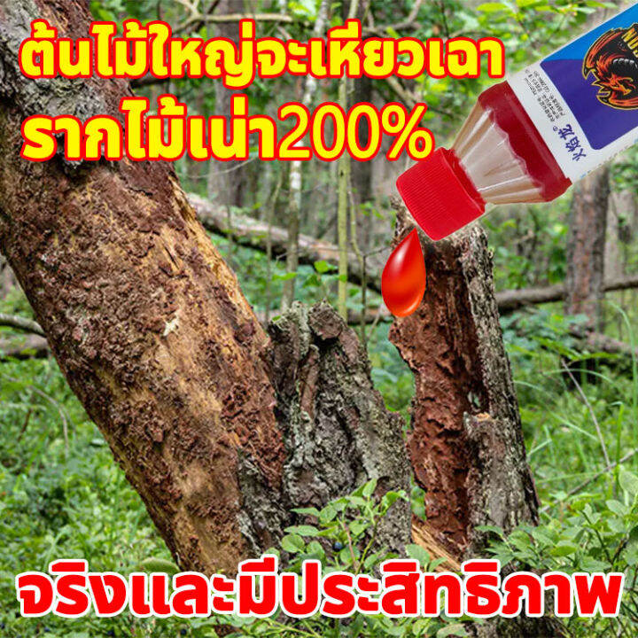 2023-new-ยาฆ่าตอต้นไม้-การ์ลอน-200กรัม-ยาฆ่าตอไม้-กำจัดต้นไม้หญ้าไม้ไผ่-ผลติดทนนาน-ไม่เป็นอันตรายต่อดิน-สารกำจัดกอไผ่-สารกำจัดตอไม้-ยาฆ่าตอไม้-ยาฆ่ากอไผ่-ยาฆ่าไม้ยืนต้น-กำจัดราก