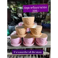 กระถางลีลาวดีขนาด 5 สีพาสเทล พร้อมจานรอง 6 ชุด 209.-