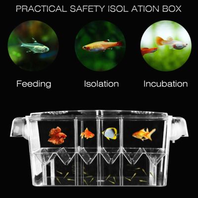 กล่องเพาะพันธุ์ปลาในตู้ปลา1ชิ้นกล่องใสสำหรับตู้ปลาอุปกรณ์แยกฟักไข่ปลาเล็ก Not Specified เครื่องบ่มเพาะพันธุ์