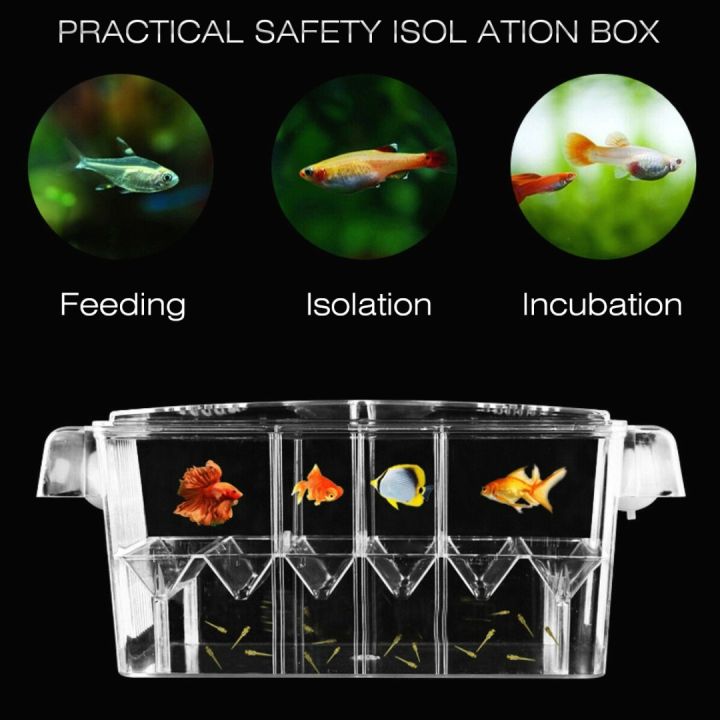 กล่องเพาะพันธุ์ปลาในตู้ปลา1ชิ้นกล่องใสสำหรับตู้ปลาอุปกรณ์แยกฟักไข่ปลาเล็ก-not-specified-เครื่องบ่มเพาะพันธุ์
