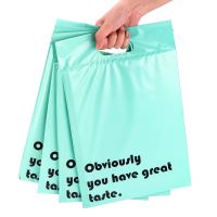 {HAOY Department Store} 50Pcs /Batch Hand Courier Bag Courier Envelope Storage Bag Mailing Bag Self Adhesive Sealed PE Plastic Bag Packing หลายสี