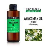 น้ำมันอบีซิเนี่ยน ABYSSINIAN OIL Oil