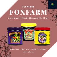 (Set ทำดอก) Foxfarm fox farm Open Sesame, Beastie Bloomz &amp; Cha Ching