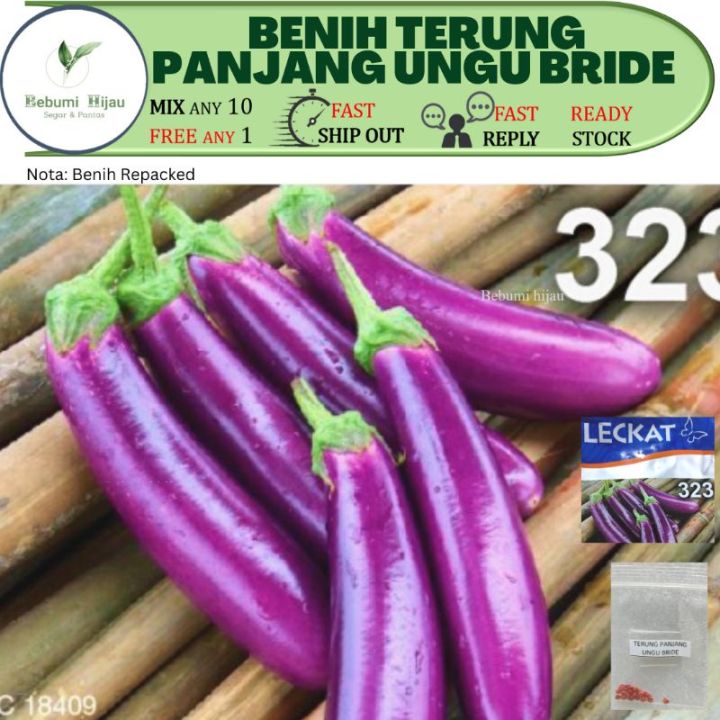 20 Biji Benih Terung Ungu Bride Repacked Long Brinjal Seeds Eggplant