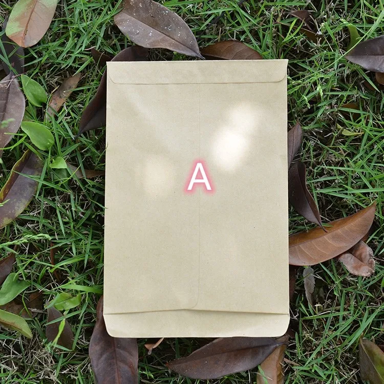 ☒✣ Kraft Paper Seed Envelopes Mini Packets Envelopes Garden