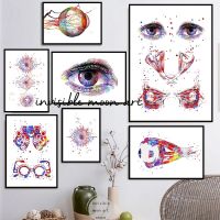 โปสเตอร์ศิลปะทางการแพทย์: Optic Chism &amp; Human Eye Anatomy Canvas Painting For Home Decoration