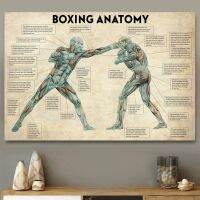 ✷◈ Vintage Boxing Body Anatomy โปสเตอร์และภาพพิมพ์ผนังศิลปะภาพวาดผ้าใบ Boxing Lover ของขวัญสำหรับห้องยิม Cuadros ตกแต่งบ้าน