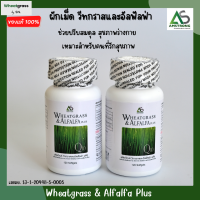 (2 กระปุก 240 เม็ด) Wheatgrass &amp; Alfalfa Plus ผลิตภัณฑ์อาหารเสริมแอมสตรอง ? วีทกราส อัลฟัลฟ่า พลัส ผักเม็ดแท้ สูตรดั้งเดิม ผักอัดเม็ด superfood โปรตีนสูง