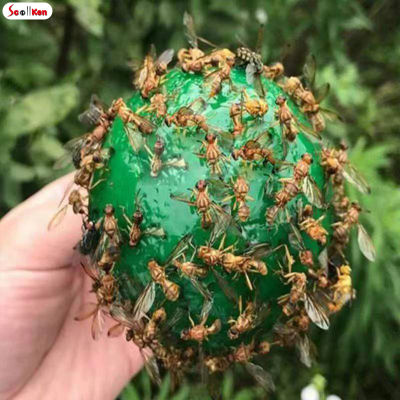 ScottK ลูกบอลดักแมลงวันในสวนผลไม้แขวนกลางแจ้งตัวจับแมลงวันสำหรับจับแมลงแมลงวันผลไม้