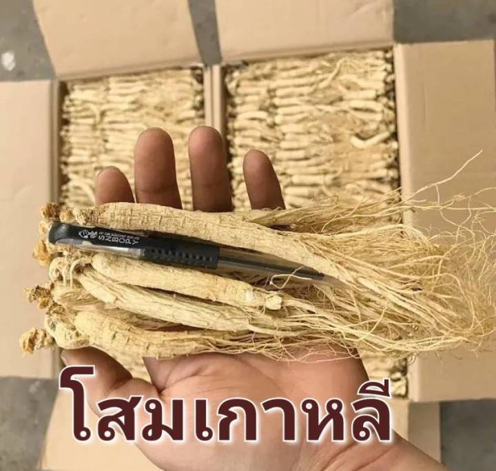 โสม-ginseng-โสมเกาหลีแท้-โสมเกาหลีแห้งaaa-คละไซส์-กลิ่นหอม-บำรุงหัวใจลดคอเลสเตอรอลสูง